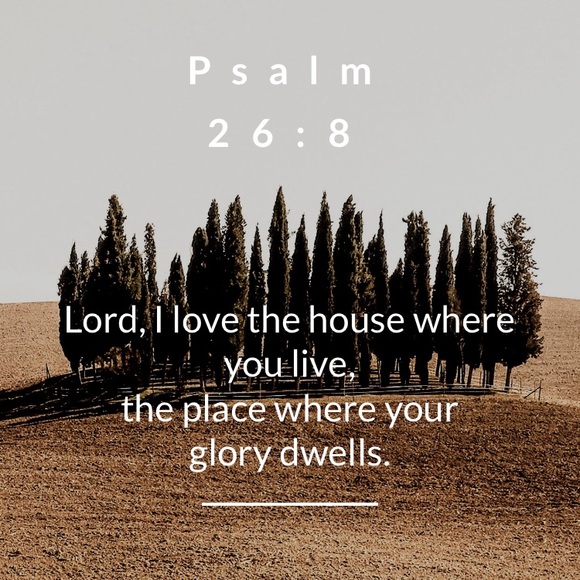 🌵 - Picture 6 of 8